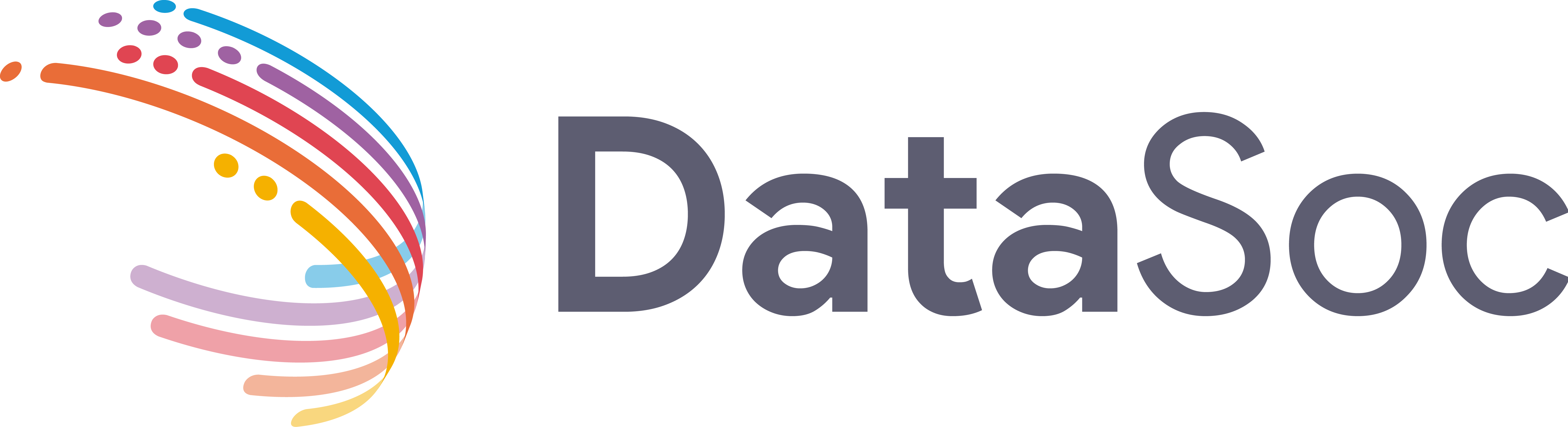 DataSoc Logo